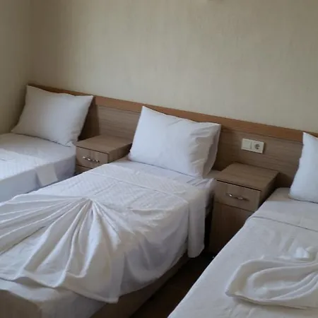 Lebedos 1 4* Gümüldür