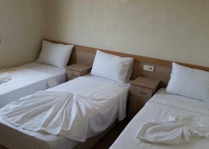 Lebedos 1 4* גומולדור